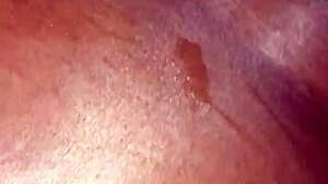 Fat Dick Willy in Doggystyle Bent Over Pussy Fucking with Monster Cock