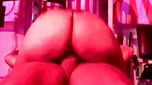 Qadesh Amateur Riding In Gym