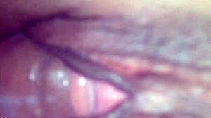 who’s banging anega from trás barras tonight?