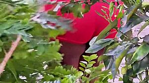 Evangelical neighbor picking fruits outdoors.