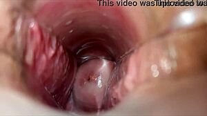 Orgasmo Vaginal Close Up, Pussy Vagina Orgasm In Intriguing Detail.