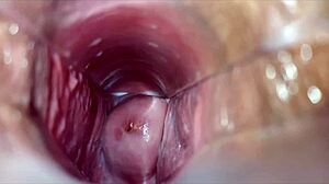 Orgasmo Vaginal Close Up, Pussy Vagina Orgasm In Intriguing Detail.