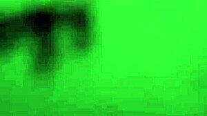 Brazilian slut teases with dildo in homemade flashing clip