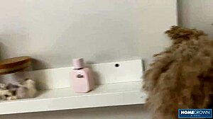 amanda clarke sucks cock then gets pounded hard