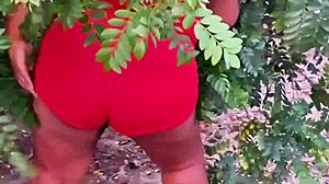 Evangelical neighbor picking fruits outdoors.