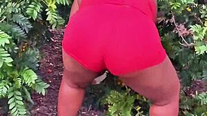 Evangelical neighbor picking fruits outdoors.