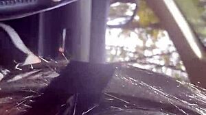 need a ride with milfycalla?