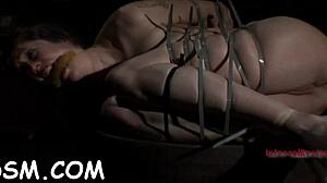 i bound her with toys for hardcore fucking