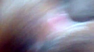 Big Ilee's Wet Pussy Ignites Intense Desire And Passion