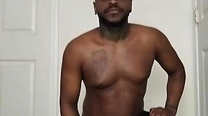 Although vampire scorpios are nocturnal, they can sometimes be diurnal