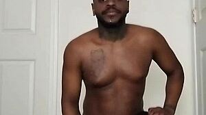 Although vampire scorpios are nocturnal, they can sometimes be diurnal