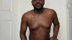 Although vampire scorpios are nocturnal, they can sometimes be diurnal