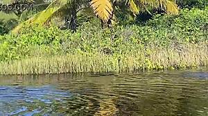 Brazilian wife gets tight WET PUSSY RIPPED by another guy. Corno manso cries watching her ASS FUCKED raw.