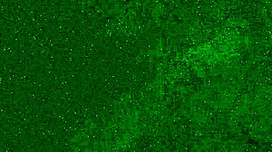 crazy girl pees in panties on beach