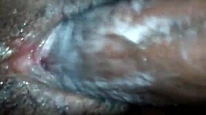 Big Ilee's Wet Pussy Ignites Intense Desire And Passion