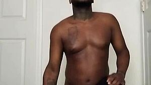 Although vampire scorpios are nocturnal, they can sometimes be diurnal