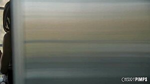 Big tits lesbian Jewelz Blu scissors with all natural Alexis Tae and eats her trimmed pussy.