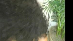 Island Hottie From Trinidad Showers With Foxy Roxy