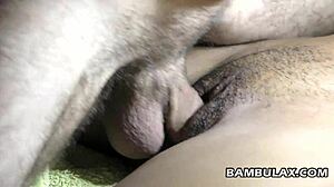 Ebony girlfriend surprises with big white cock creampie