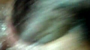 Big Ilee's Wet Pussy Ignites Intense Desire And Passion