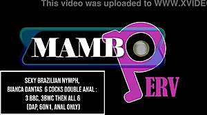 Can Sexy Brazilian Bianca Dantas Handle 6 Cocks In Double Anal Madness?