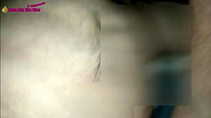 Busty Mexican milf in threesome with bears.