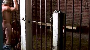 Jizzorama - super old perverted grandpa gets stable blowjob. what’s his secret?