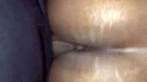 i'm putting this dick on my bitch for some hardcore action