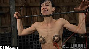 watch this zealous ass whipping for the playgirl