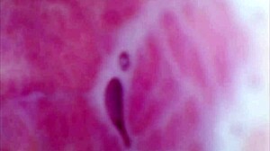 yo, check this real pussy orgasm with sperm in juice under microscope