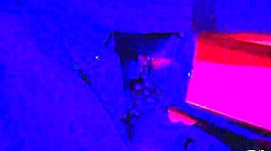 Did Cindy and her friends have an incredible fuck fest?