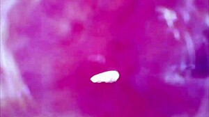 yo, check this real pussy orgasm with sperm in juice under microscope