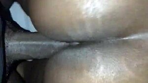 i'm putting this dick on my bitch for some hardcore action