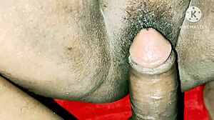 Desi bhabhi, why so wild with neighbour boys in hardcore action?