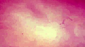 Modelo novata de lenceria crey� que no le iba a cobrar la sesion de fotos me cobre con su ano virgen y apretado