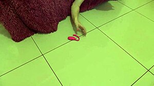 Sexy milf with a new sex toy amateur fetish masturbation with a vibrator