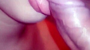 Colombian Bride Sucks Dick