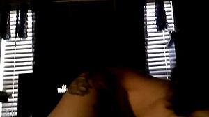 Steph Provides an Intense Blowjob to Her Partner.