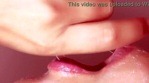 guys learn seduction from milfs in reality