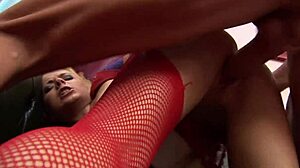 Nikky Blond, Steliana, Clarke Kent, Marc Rose ile Topuklularla Dörtlü