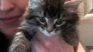 kandy kane bbw amateur homemade