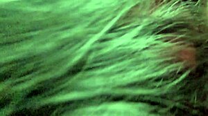 Hey, sneaking around with my Latina schoolmate in her uniform, pure bedroom heat!