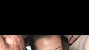 Tempting Blowjob Moments Courtesy of Thefredsugar's Favorite Scenes