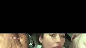 Tempting Blowjob Moments Courtesy of Thefredsugar's Favorite Scenes