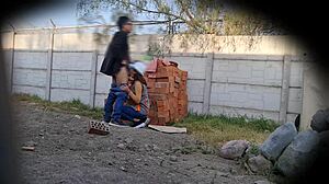 Working day adventures captured on security cameras.