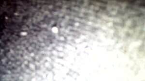 Cherise Roze Teases At Halloween Stripper Party