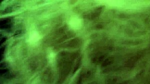 Milf giving that good head