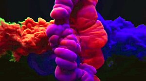 Anal Sex With Sao Paulo Reporter In Rio