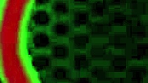 rome major fucks halle hayes' mouth, loves bbcs