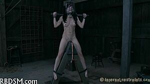 Whipping Sadomasochism Scenes